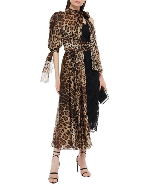 Dolce & Gabbana Black Tie-neck Leopard-print Silk-blend Voile And Lace Midi Dress