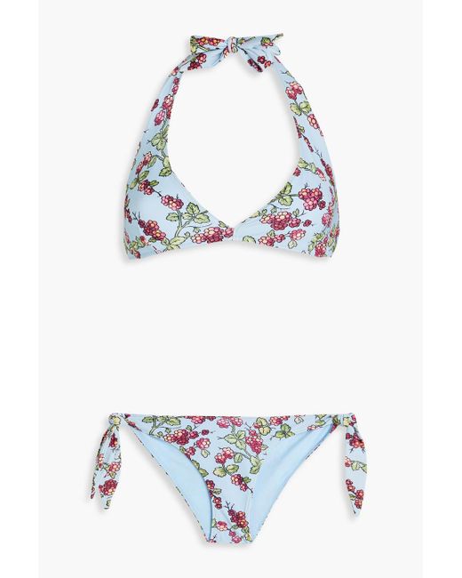 Etro Blue Floral-Print Triangle Bikini