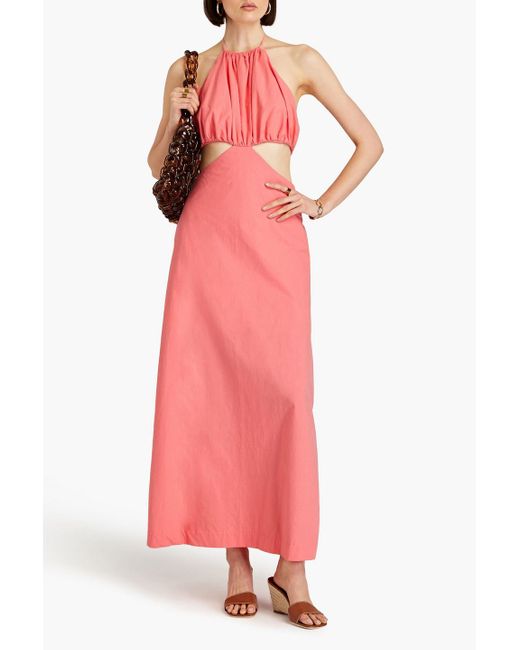 Bondi Born Pink Mahina Cutout Cotton-poplin Halterneck Maxi Dress