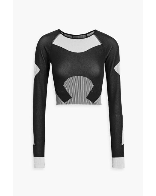 Adidas By Stella McCartney Black Cropped Printed Stretch-jersey Top