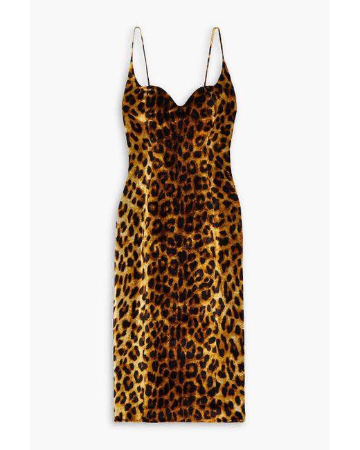 Halpern Multicolor Leopard-print Velvet Midi Dress