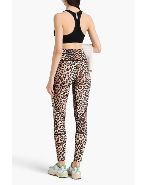 Ganni Multicolor Leopard-Print Stretch-Jersey Leggings