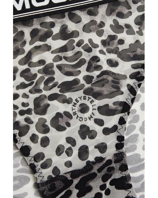 Stella McCartney Gray Leopard-print Stretch-mesh Low-rise Briefs