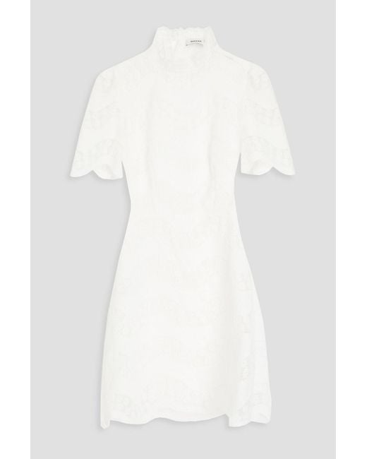 Sandro White Guipure Lace And Cotton-poplin Mini Dress