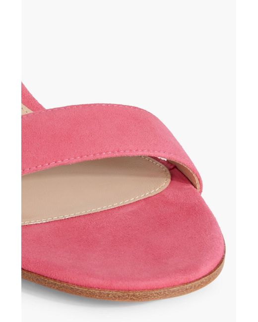 Gianvito Rossi Pink Versilia 60 Suede Sandals