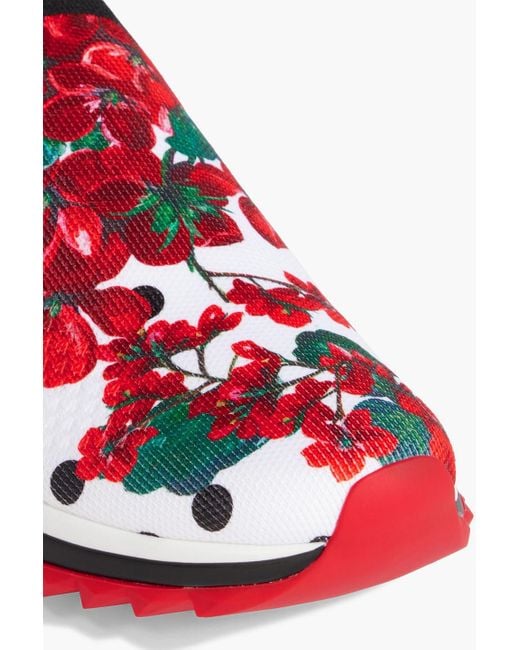 Dolce & Gabbana Red Floral-print Stretch-knit Sneakers