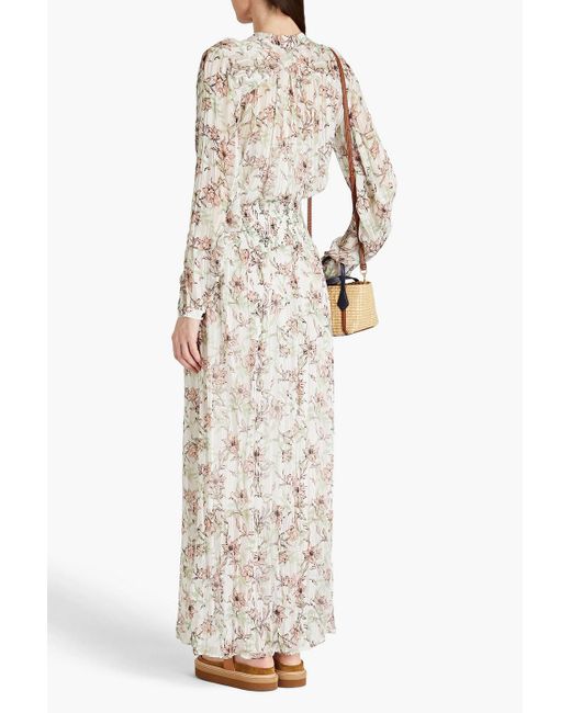 Rag & Bone White Calista Shirred Metallic Floral-print Chiffon Maxi Dress