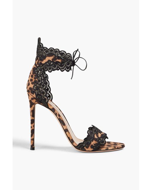 Gianvito Rossi Multicolor Evie Lace-trimmed Leopard-print Satin Sandals