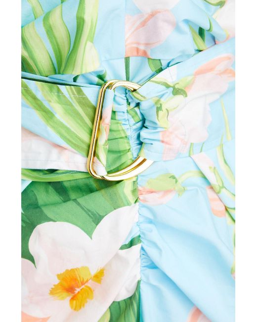 Carolina Herrera Blue Ruched Floral-print Cotton-blend Poplin Midi Dress