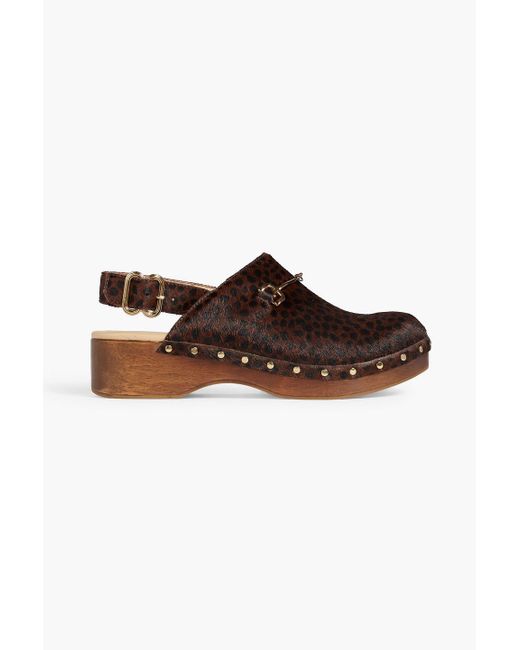 Sam Edelman Brown Hilda Leopard-print Calf Hair Clogs