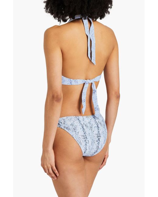 Heidi Klein Blue Casablanca Snake-print Stretch-jacquard Halterneck Bikini Top