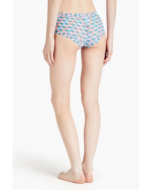 Hanky Panky Blue Printed Stretch-lace Mid-rise Briefs