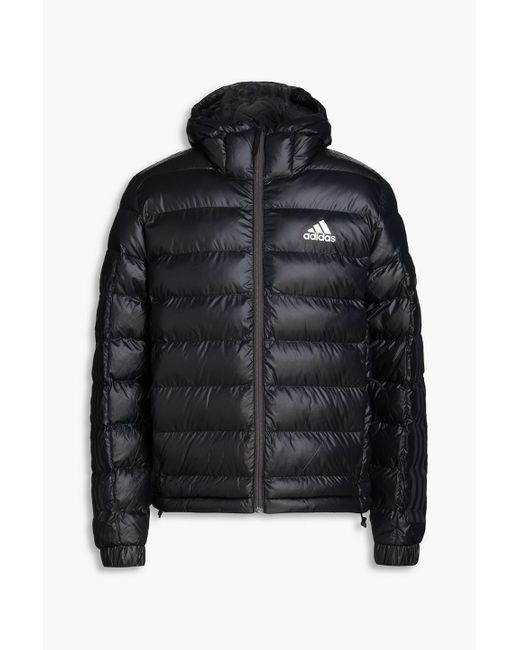 Adidas Originals Black Quilted Shell Hooded Jacket for men