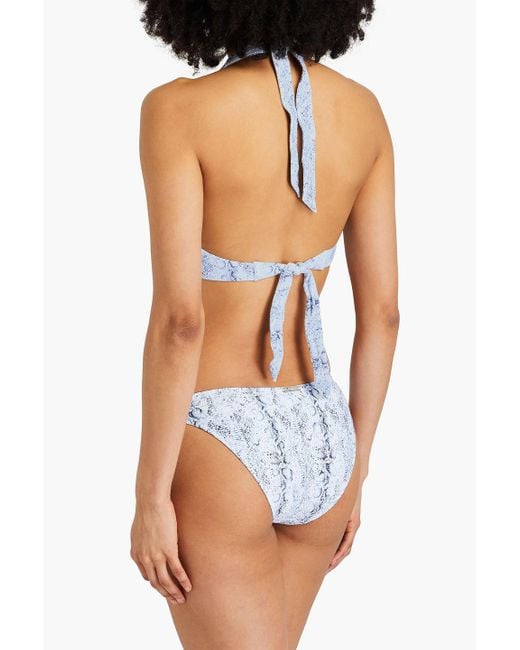 Heidi Klein Blue Casablanca Snake-print Stretch-jacquard Low-rise Bikini Briefs