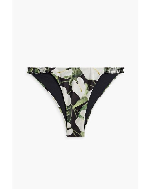 Agua Bendita Black Vera Anturios Ruffled Floral-print Low-rise Bikini Briefs