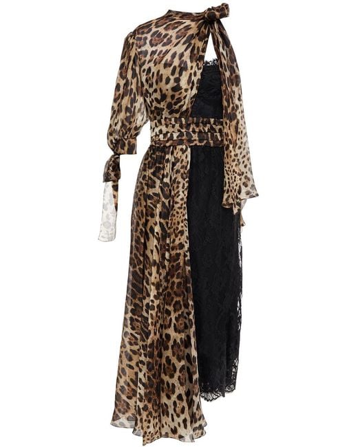 Dolce & Gabbana Black Tie-neck Leopard-print Silk-blend Voile And Lace Midi Dress