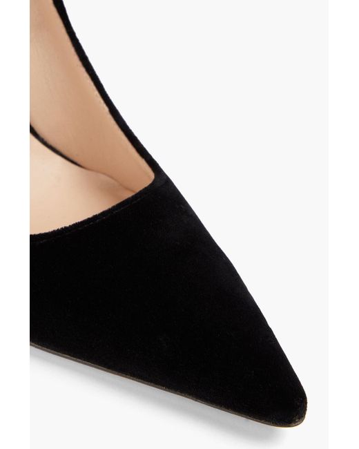 Black velvet hotsell pumps womens
