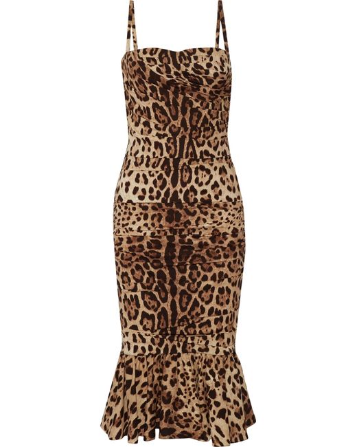 Dolce & Gabbana Brown Ruched Leopard-print Silk-cady Midi Dress