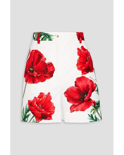 Dolce & Gabbana Red Floral-print Cotton-poplin Shorts