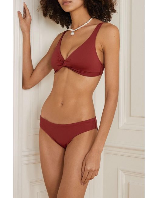 Bondi Born Red Nadia bikini-höschen