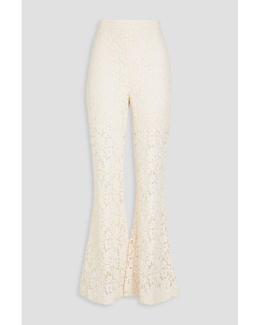 Zimmermann Natural Cotton-blend Corded Lace Flared Pants