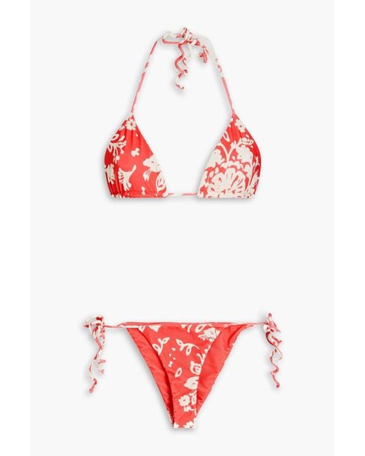 Red(v) Red Printed Triangle Bikini