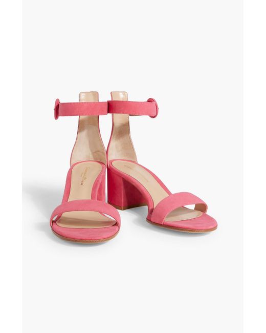 Gianvito Rossi Pink Versilia 60 Suede Sandals