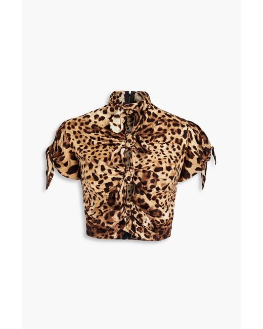 Dolce & Gabbana Multicolor Cropped Cutout Leopard-print Stretch-silk Crepe De Chine Top