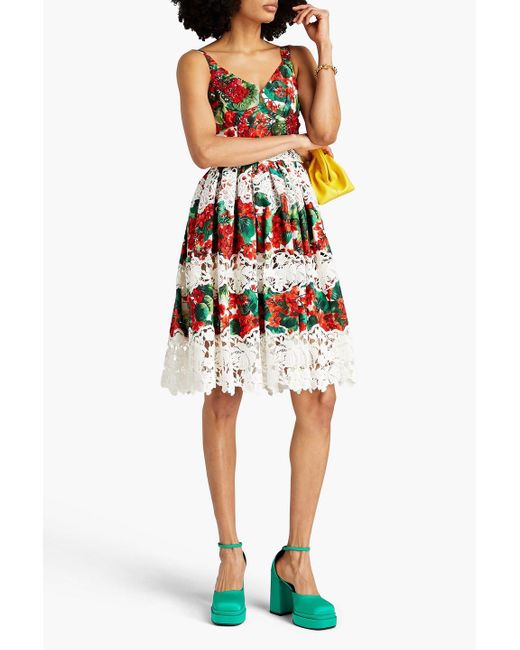 Dolce & Gabbana Red Crochet-trimmed Floral-print Cotton-blend Poplin Dress