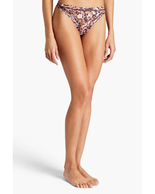 Hanky Panky Pink Leopard-print Stretch-lace Low-rise Briefs