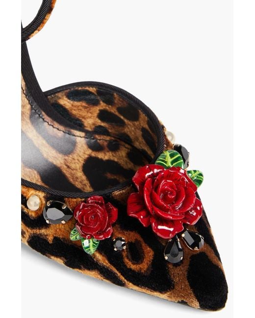 Dolce & Gabbana Multicolor Embellished Leopard-print Velvet Pumps