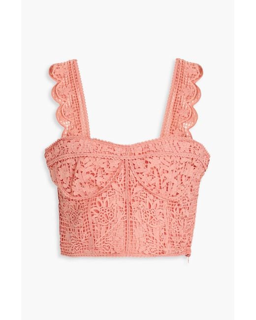 Farm Rio Pink Cropped Guipure Lace Top