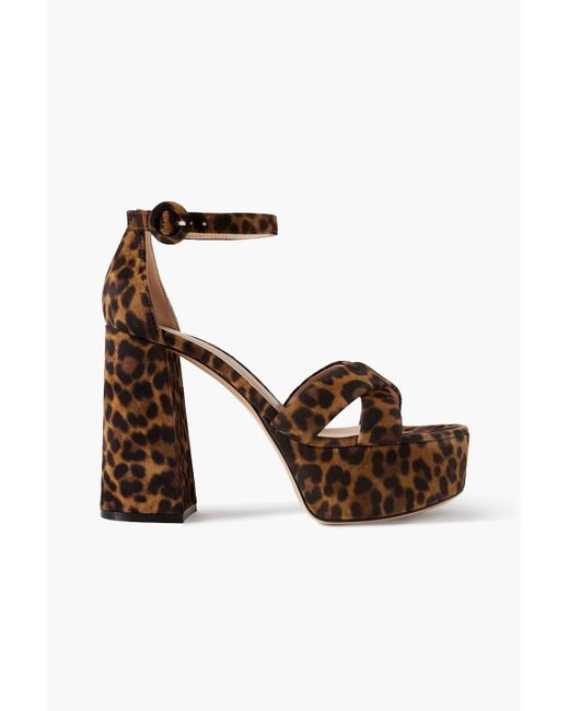 Gianvito Rossi Multicolor Sheridan 110 Leopard-print Suede Platform Sandals