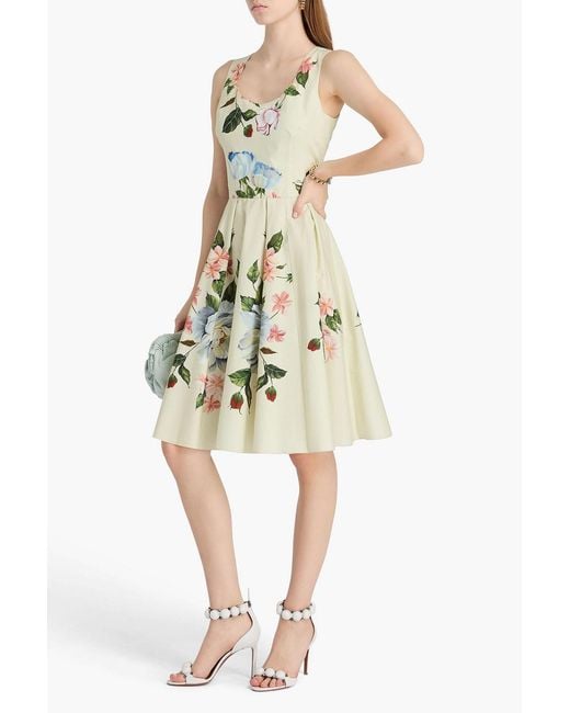 Dolce & Gabbana White Pleated Floral-print Cotton-poplin Dress