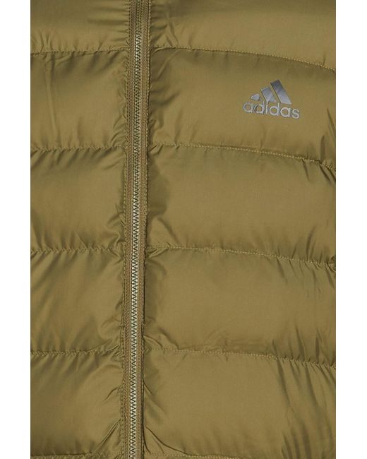 Adidas Originals Green Itavic Quilted Shell Hooded Jacket for men