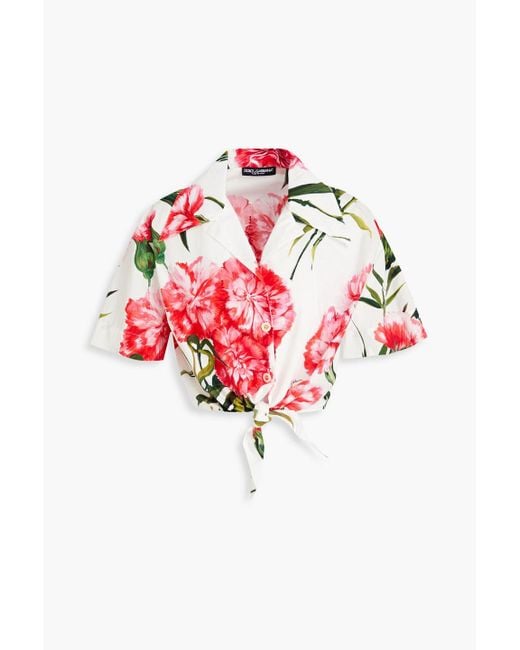 Dolce & Gabbana Red Cropped Floral-print Shirt