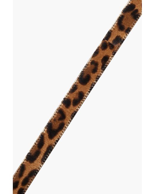 Dolce & Gabbana Multicolor Leopard-print Calf Hair Belt