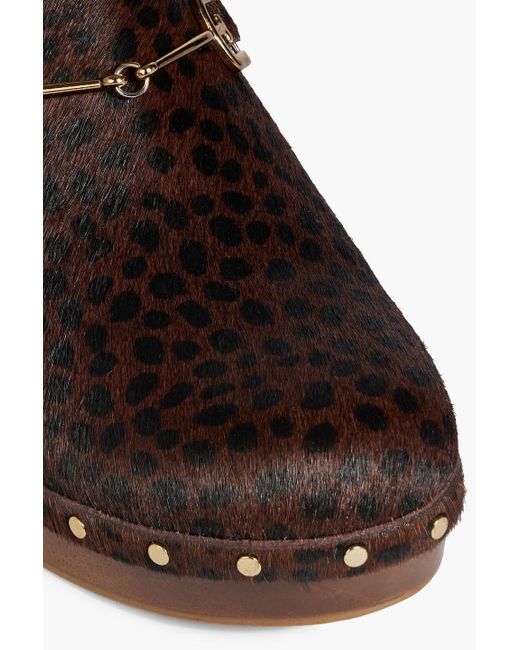 Sam Edelman Brown Hilda Leopard-print Calf Hair Clogs