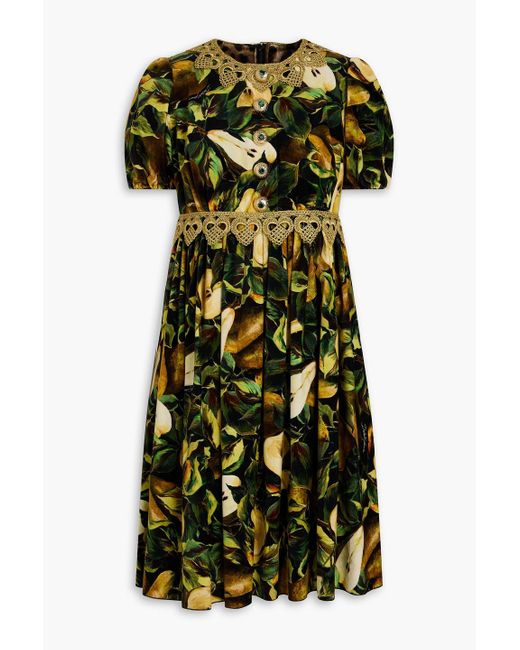 Dolce & Gabbana Lace-trimmed Floral-print Cotton-blend Velvet Mini Dress in  Green | Lyst UK