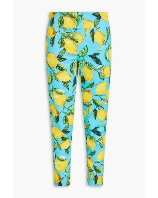 Dolce & Gabbana Blue Printed Cotton-Blend Twill Tapered Pants
