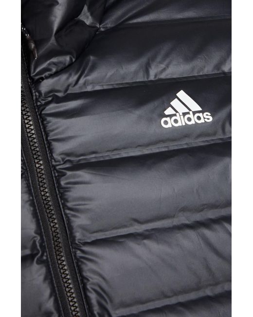 Adidas Originals Kapuzenjacke aus gestepptem shell in Black für Herren