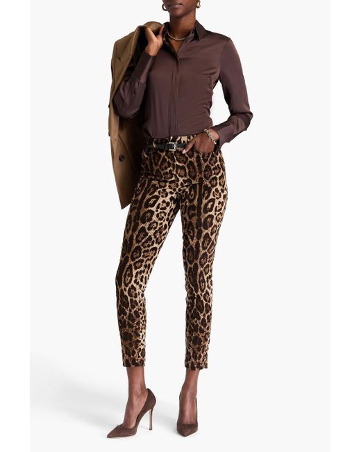 Dolce & Gabbana Multicolor Eng geschnittene hose aus cord aus einer baumwollmischung mit leopardenprint
