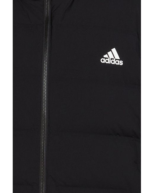Adidas Originals Helionic kapuzenjacke aus gestepptem shell in Black für Herren