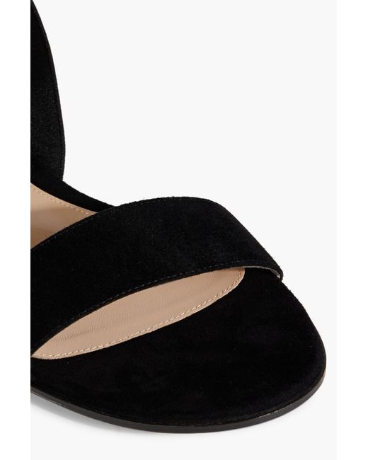 Gianvito Rossi Black Emily 05 Suede And Stretch Sandals