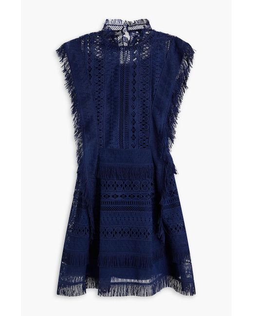 Alberta Ferretti Blue Fringed Guipure Lace And Tulle Mini Dress