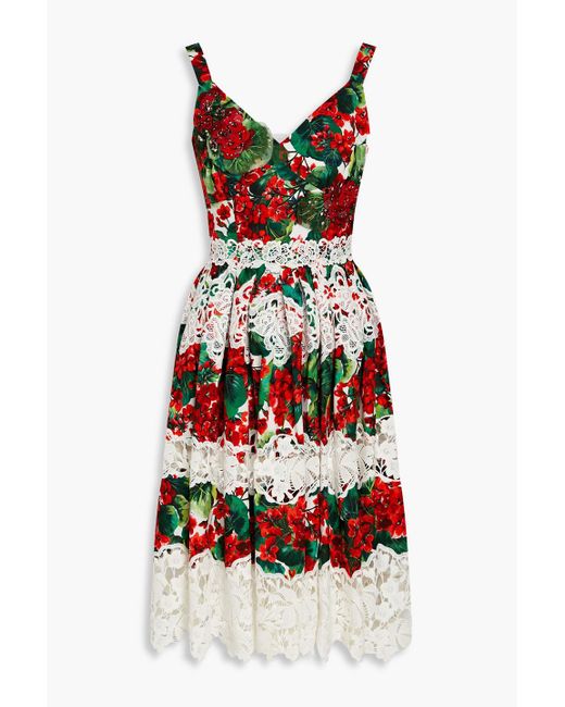 Dolce & Gabbana Red Crochet-trimmed Floral-print Cotton-blend Poplin Dress