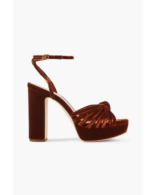 Loeffler Randall Brown Rivka Knot-embellished Velvet Sandals