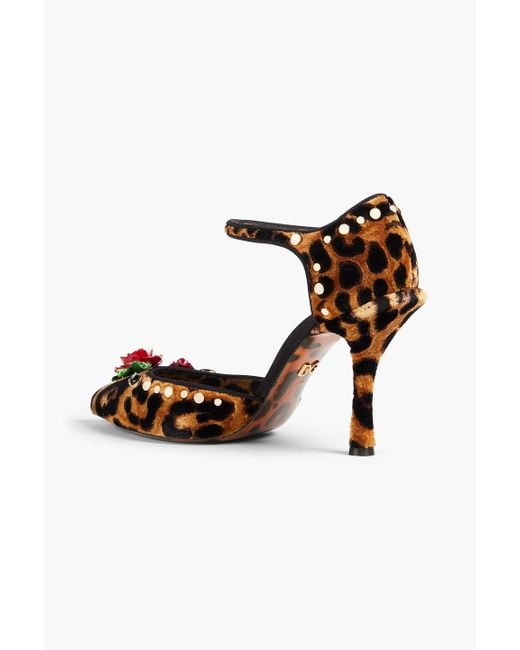 Dolce & Gabbana Multicolor Embellished Leopard-print Velvet Pumps