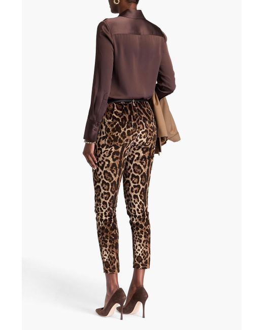Dolce & Gabbana Multicolor Eng geschnittene hose aus cord aus einer baumwollmischung mit leopardenprint