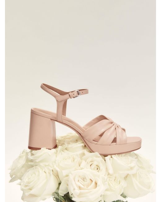 reformation maize platform